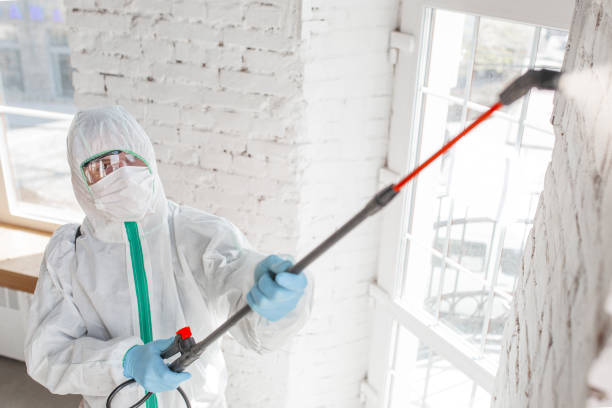 Best Post-Remediation Verification Testing  in Cambridge City, IN