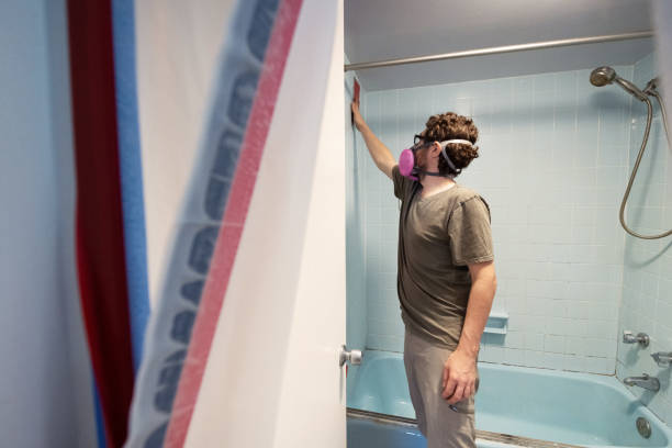 Best Emergency Mold Remediation  in Cambridge City, IN