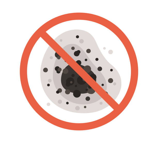 Environmental Consulting for Mold Prevention in Cambridge City, IN