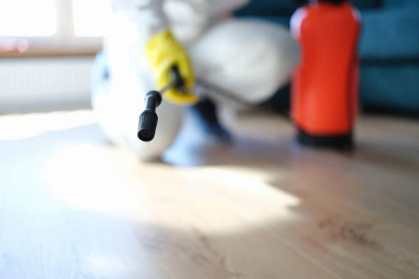 Best Air Quality Testing for Mold Spores  in Cambridge City, IN