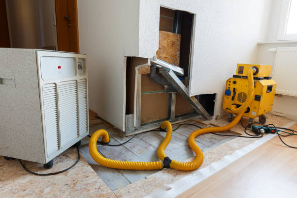Best HVAC Mold Inspection and Cleaning  in Cambridge City, IN